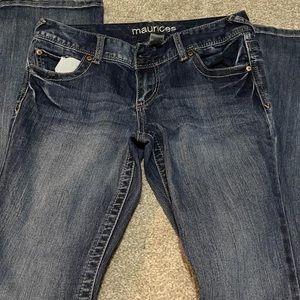 Maurices Bootcut